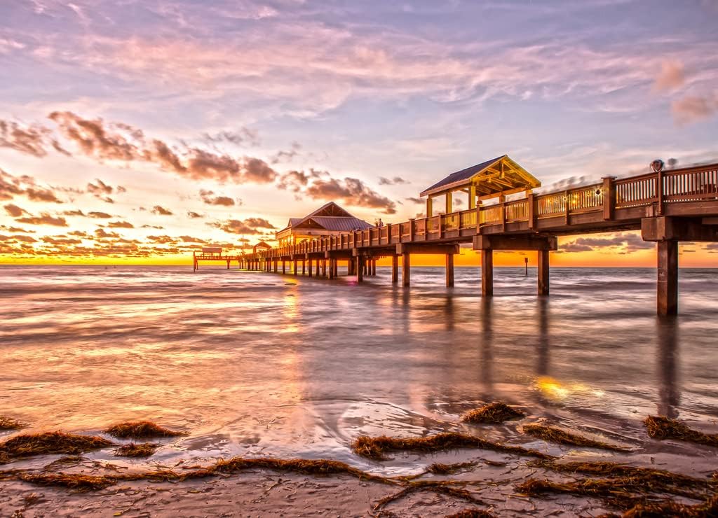 Noah Jigsaw Puzzle Sunset at Clearwater Beach Florida 1000 Pieces