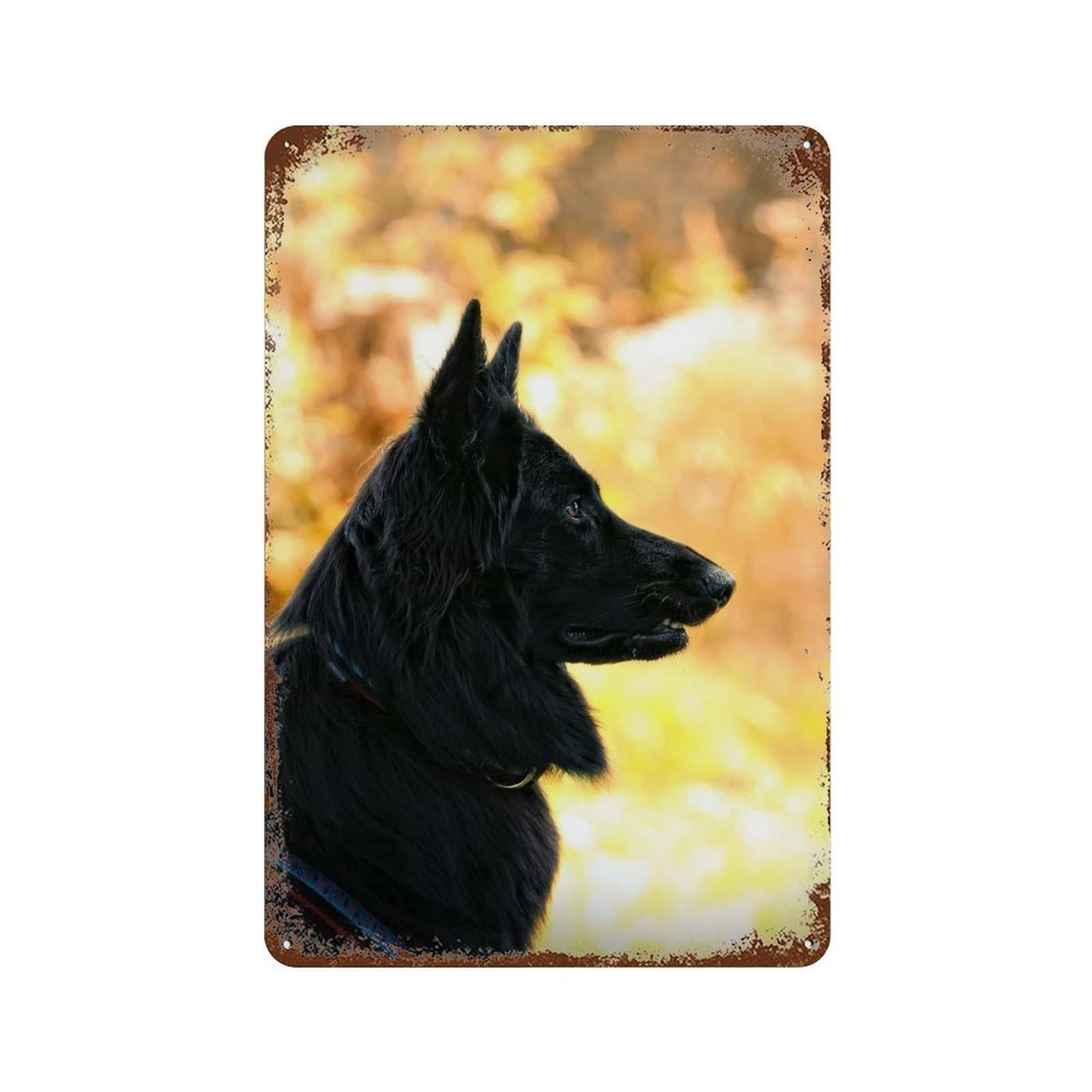 Belgian Shepherd Dog Retro Metal Sign 11.8"x7.9", Rustic Home Decor for Garage, Pub Or Kitchen