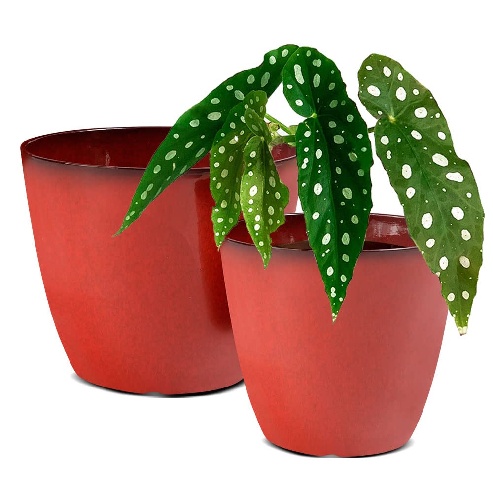RICH ATLAS 2 Pack Plant Pots Durable Decorative Flower Pots,8 Inch Planter with Drainage Hole + 6 Inch Planter Set for Indoor and Outdoor Plants,Flowers,Succulents - Red