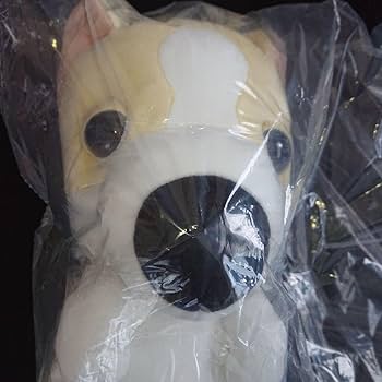 Amazon.co.jp: ぬいぐるみ THE Dog もちもちへそ天 チワワ