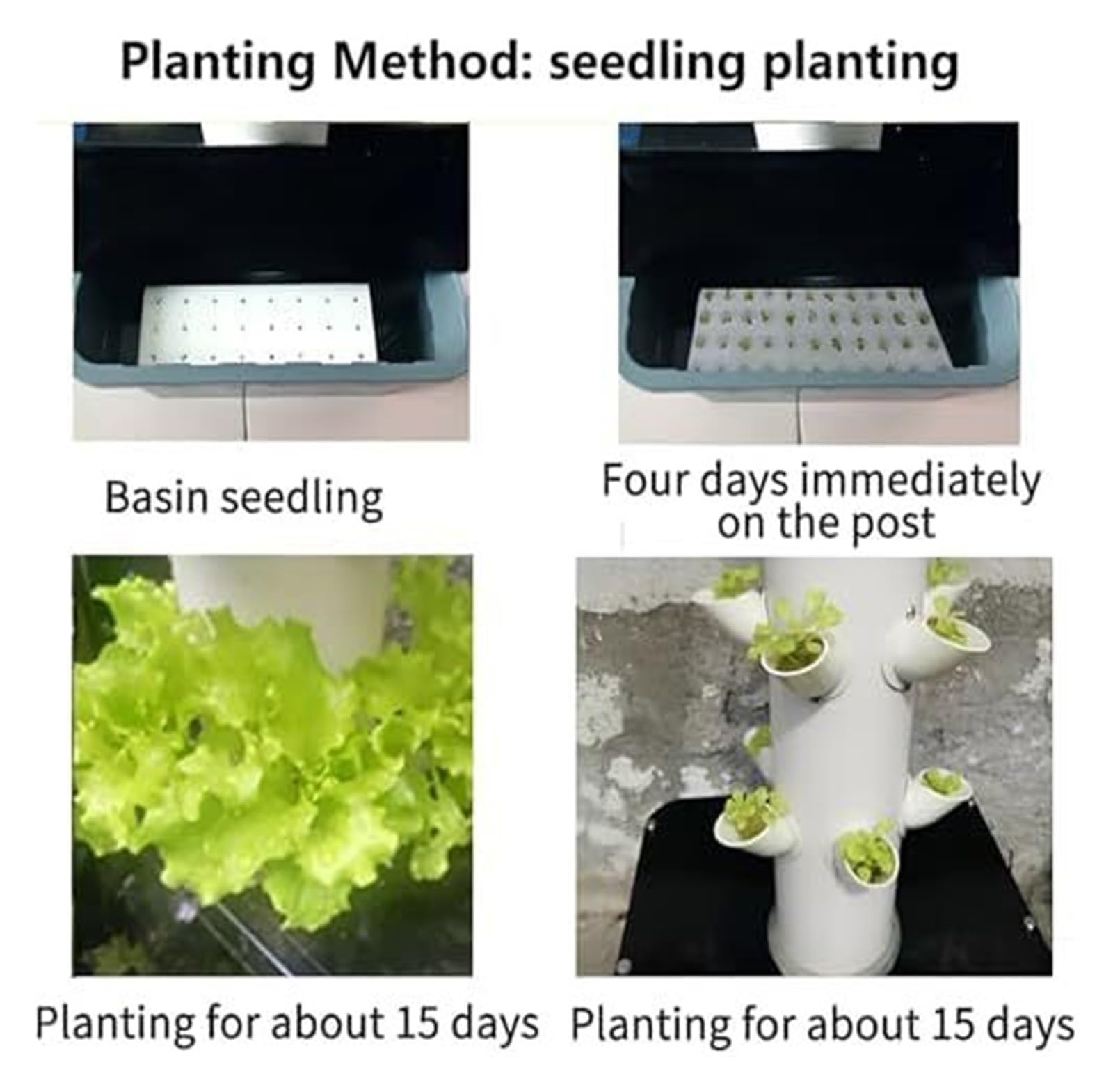 Sistema de cultivo hidropónico para interiores, Torre de PVC calidad alimentaria for uso en interiores y exteriores, macetero sin suelo for hierbas, lechuga verduras(30 Holes)