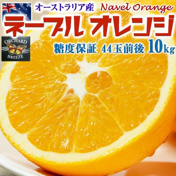 癒しのオルゴナイト❤️ポンデ型オレンジカラー(カーネリアン )♡ Amazon.co.jp: ネーブルオレンジ 10kg 糖度保証 44玉前後