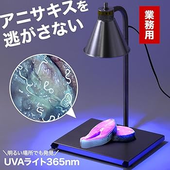 61XrtY2aS0L._AC_UF350,