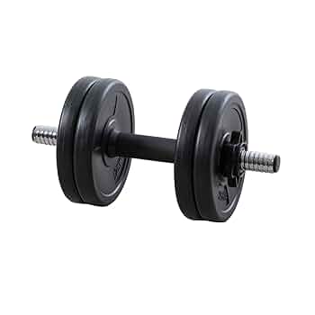 ダンベルセット HAIGE ハイガー 可変式ダンベル 41kg×2個セット ダンベルセット