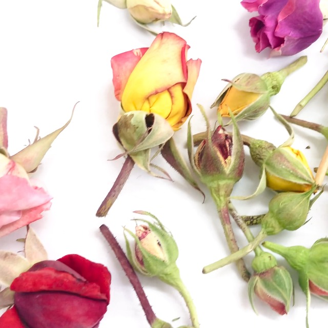 Knots de capullos de rosa assorted, 24 pcs, biodegradables miniatura 3