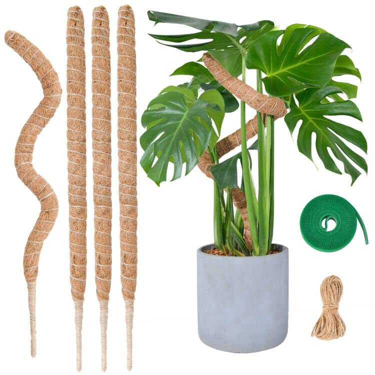 Biegsame Moosstäbe für Pflanzen, SproutMaven 4 x 60cm Monstera Moosstab-Set für Kletterpflanzen Handgefertigte schlanke Pflanzenstäbe für Indoor-Pflanzen