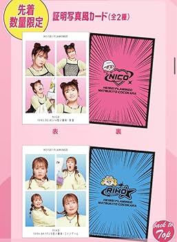 平成フラミンゴ　クリアファイル 平フラ/平成フラミンゴ クリアファイル - メルカリ