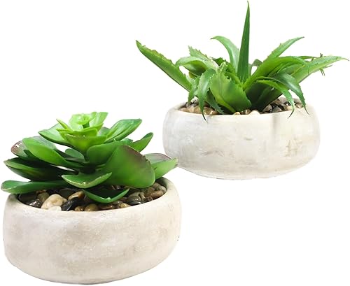 Miniatura 5 de Ebros Gift Juego de 4 suculentas botánicas artificiales realistas bonsái en maceta baja redonda de cemento de 7 pulgadas de diámetro, plantas de