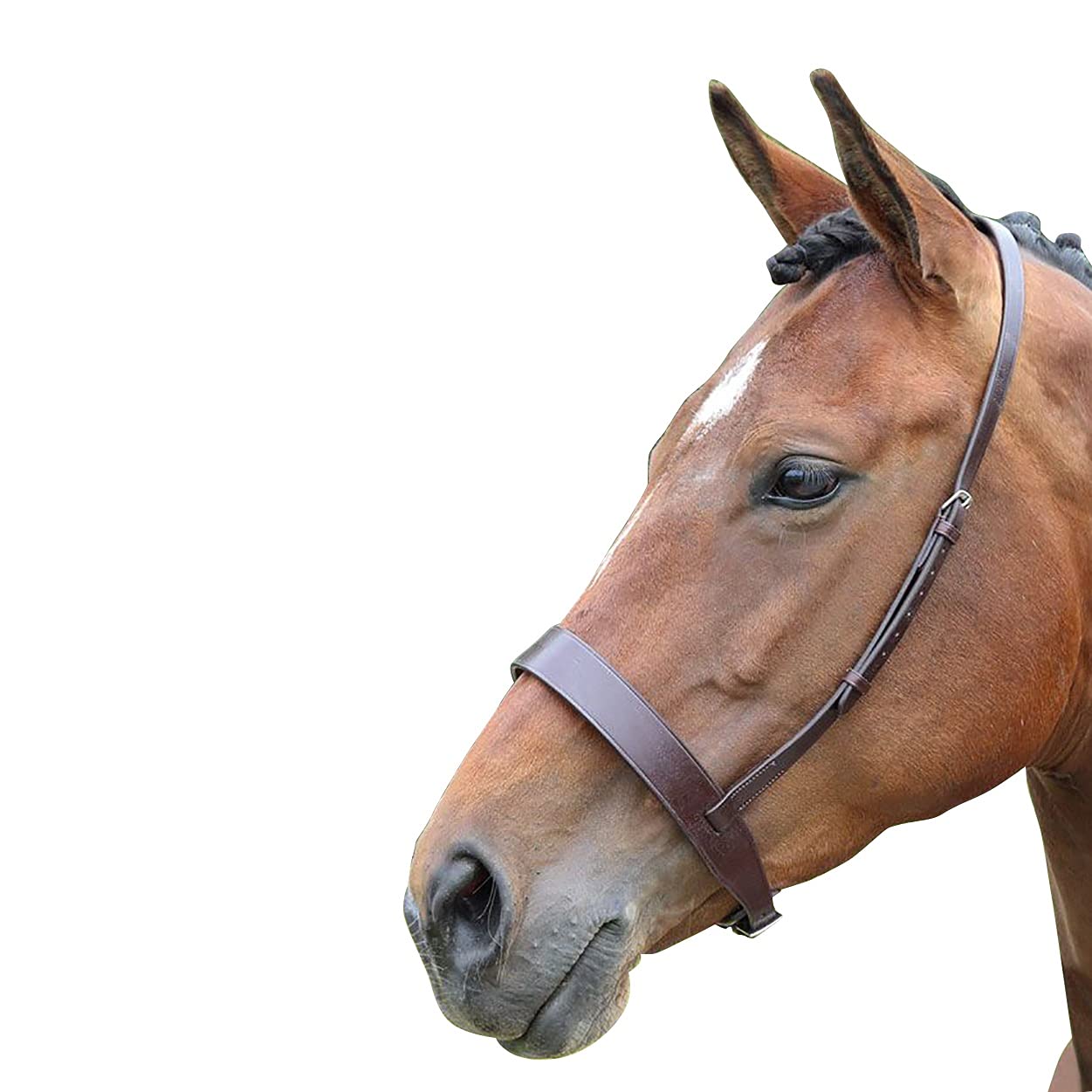Shires Blenheim Cavesson Noseband-Havana Full