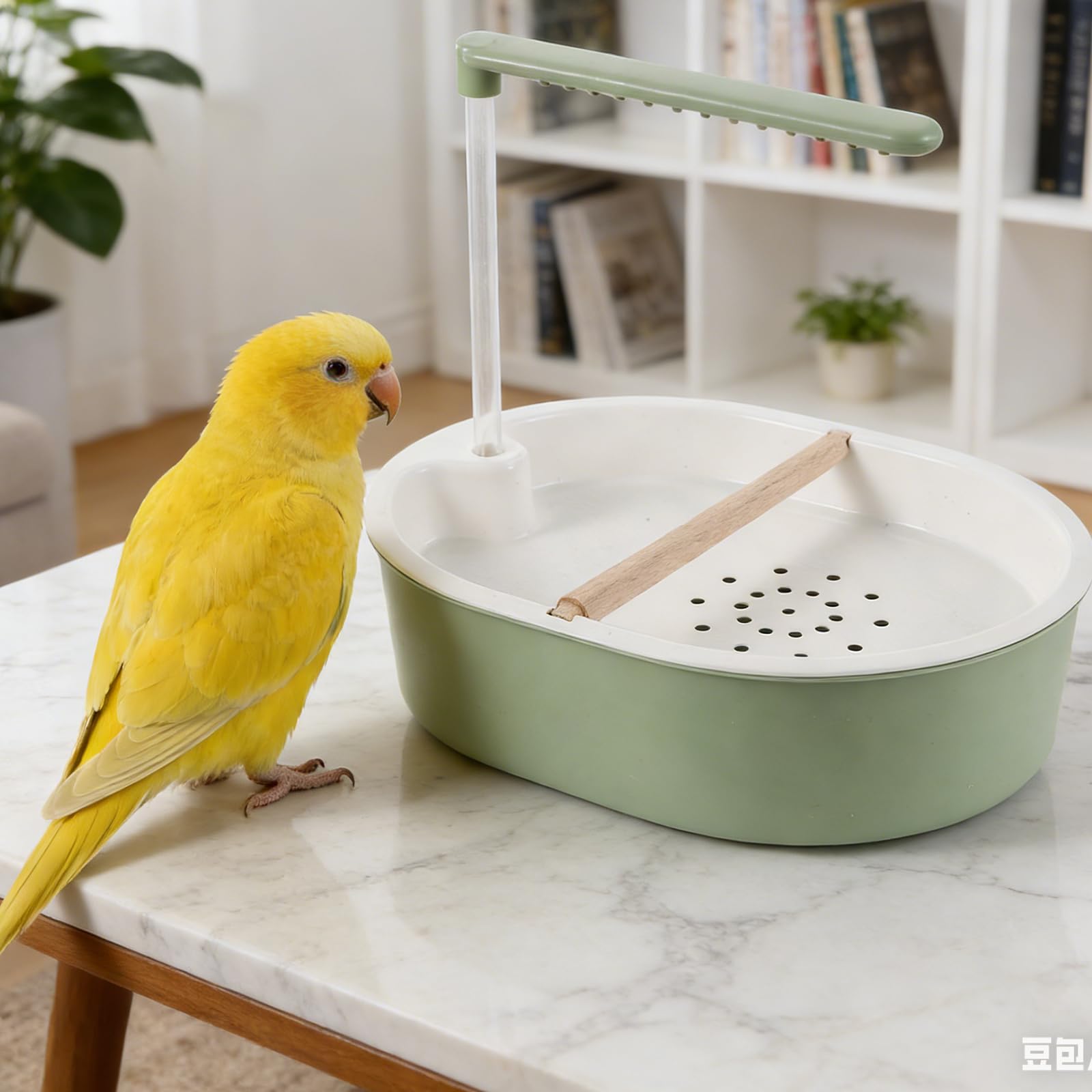 Bañera para Pájaros Automática con Bomba de Agua Ajustable, Ducha Tipo Lluvia, Cuenco de Plástico Azul Grisáceo con Tubo Transparente 20 Cm y Barra de Madera de Haya