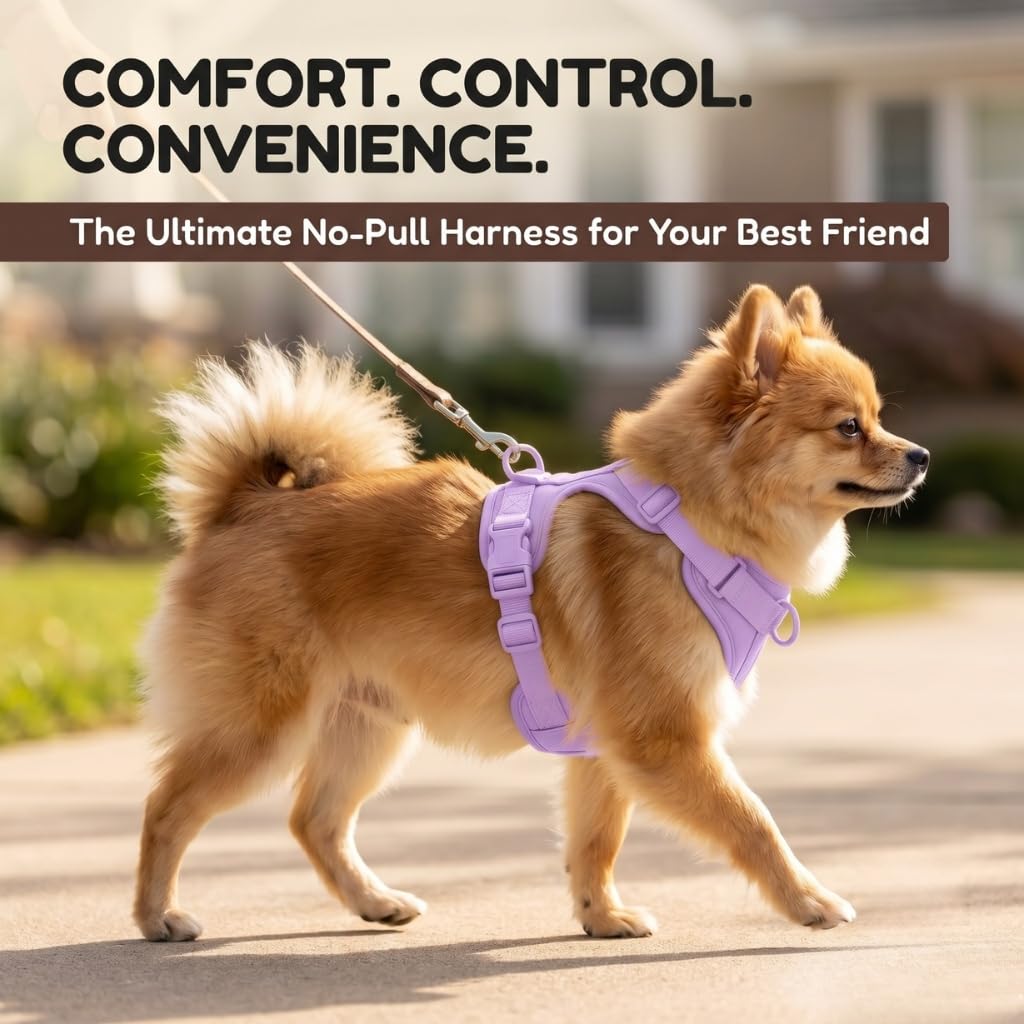 Arnés para perro, arnés para mascotas sin tirones con 3 clips de correa, chaleco acolchado suave ajustable, cojín de malla transpirable para perros pequeños, medianos y grandes (morado, pequeño