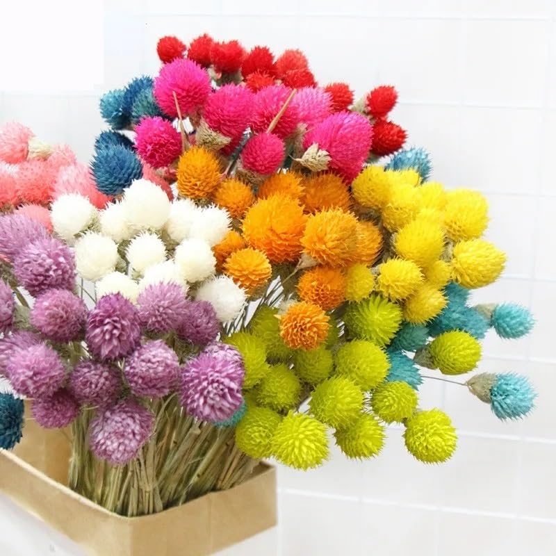 15 Pzs Ramo de Flores Secas Naturales Decoración Navideña miniatura 5