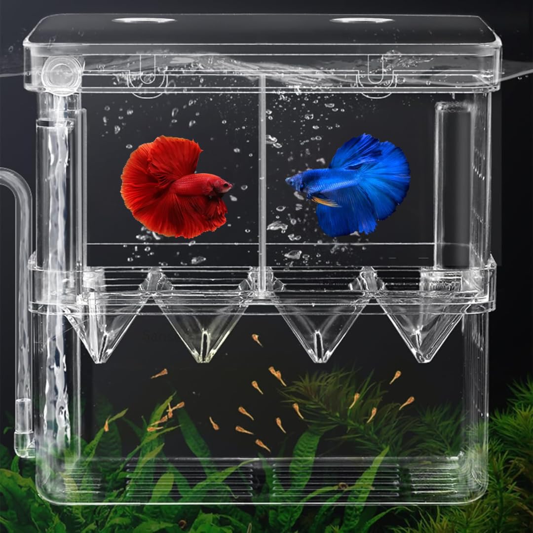 Sansefero Double Deck Isolation Breeding Box for Aquarium Self Floating Multifunctional Isolation Acrylic Hatchery Incubator with Low Deck Seperating Small Fish (M)-image-35