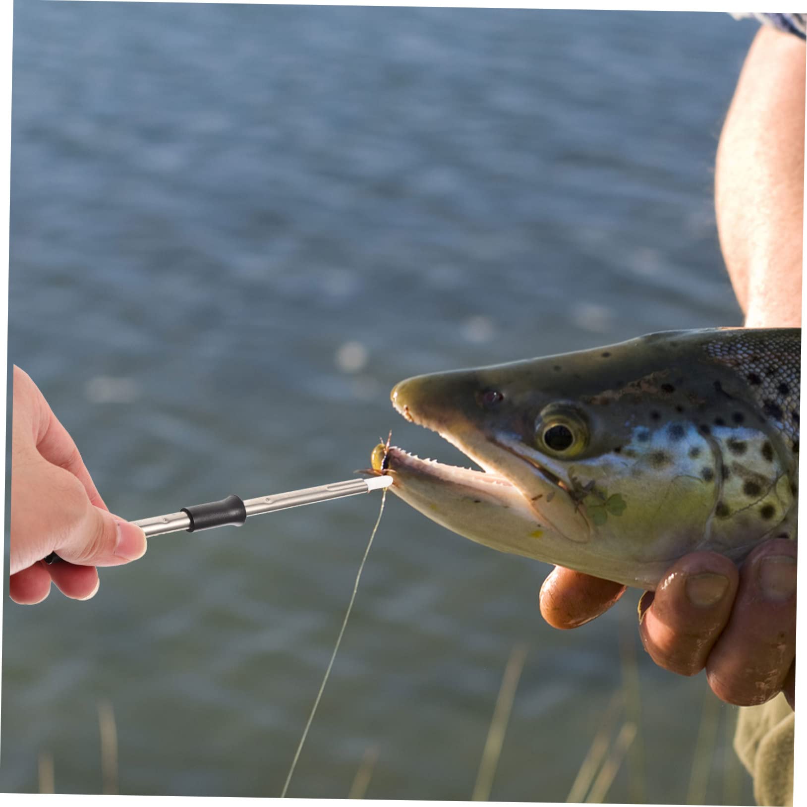 Toyvian Coleccionista de Gancho de Acero Inoxidable Herramienta Gancho de Pesca Agente de mudanzas abordar Separador de anzuelos de Pesca de anzuelos AbS
