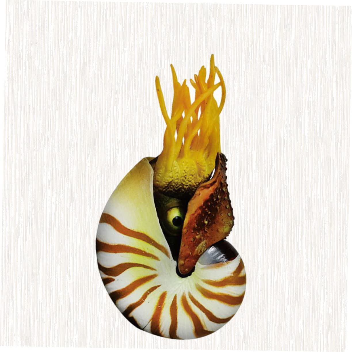 3stücke Simulation Nautilus Muscheldekor Für Aquarien Kreative Deko Für Fischbehälter Wohnzimmer Garten Bastelmaterial Für -kunstwerke Mediterraner Stil Hochwertige
