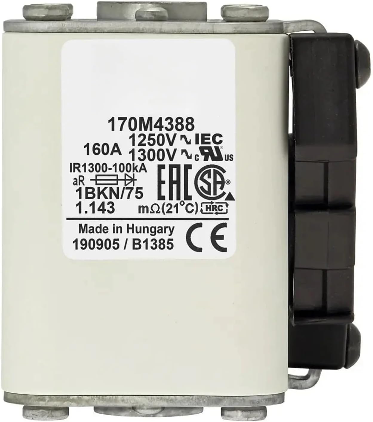 さくらの女流巨匠 川島眞佐 さくらサムホール油彩 額なし 川島眞佐 さくら