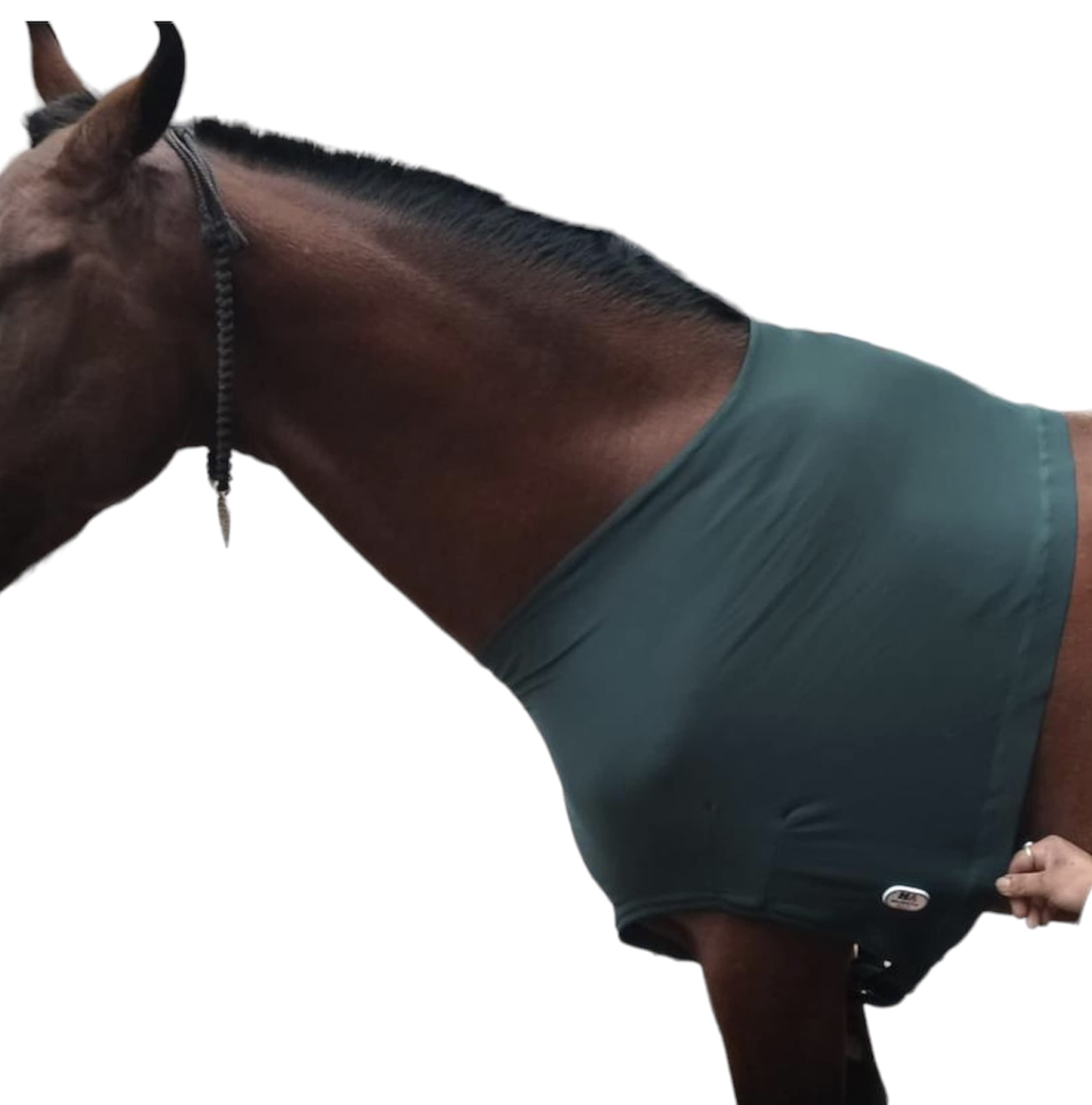 Protège-épaules Cheval Lycra Stretch Grand Vert Chasseur Majestic Ally