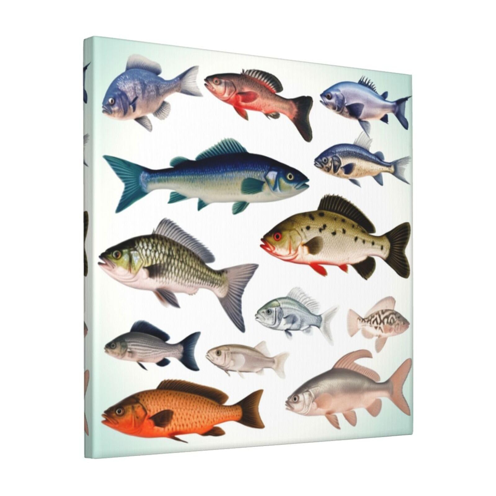 KLOPH Different Fish Canvas Wall Art for Living Room 12"x12" Modern Artwork Painting for Bathroom Hanging Canvas Prints Aesthetic Wallart for Bedroom Kitchen Office Wall Decor