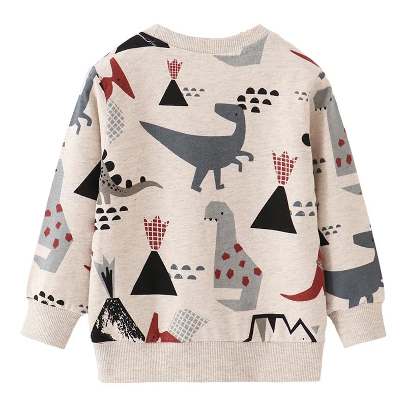 Cotton Hoodie Sweatshirts for Boys 9066same pic / 4T