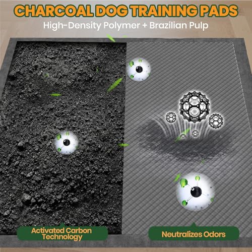 Image of Gimars XXXL 31 inchx47 inch 40 Counts Odor-Control Charcoal Pee Pads for Dogs, Super-Absorbent and Leak-Proof Pet Training Pee Pads, Disposable Charcoal Puppy Pads Suitable for Dogs, Cats and Rabbits