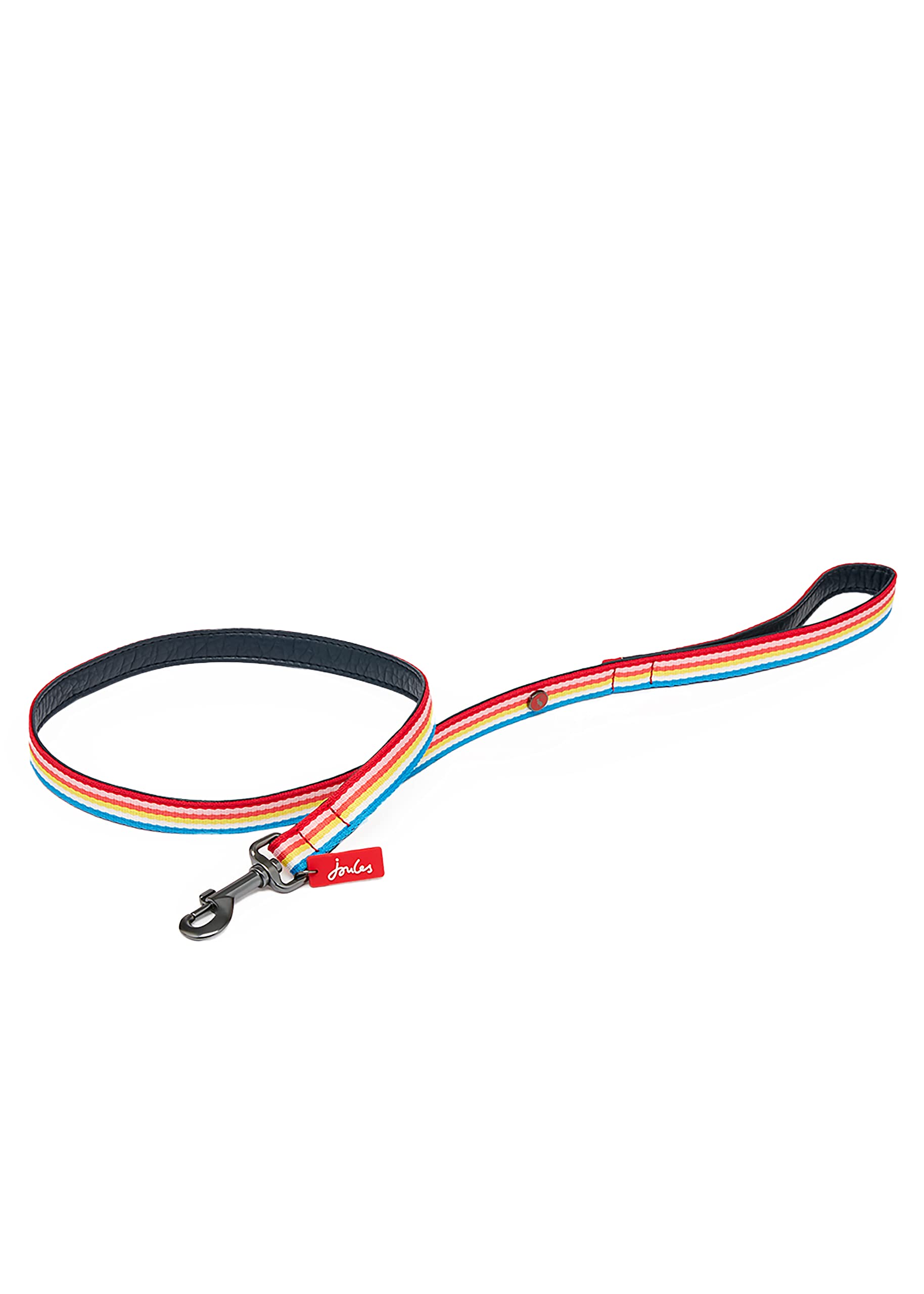 Rosewood Joules Rainbow Stripe Dog Lead