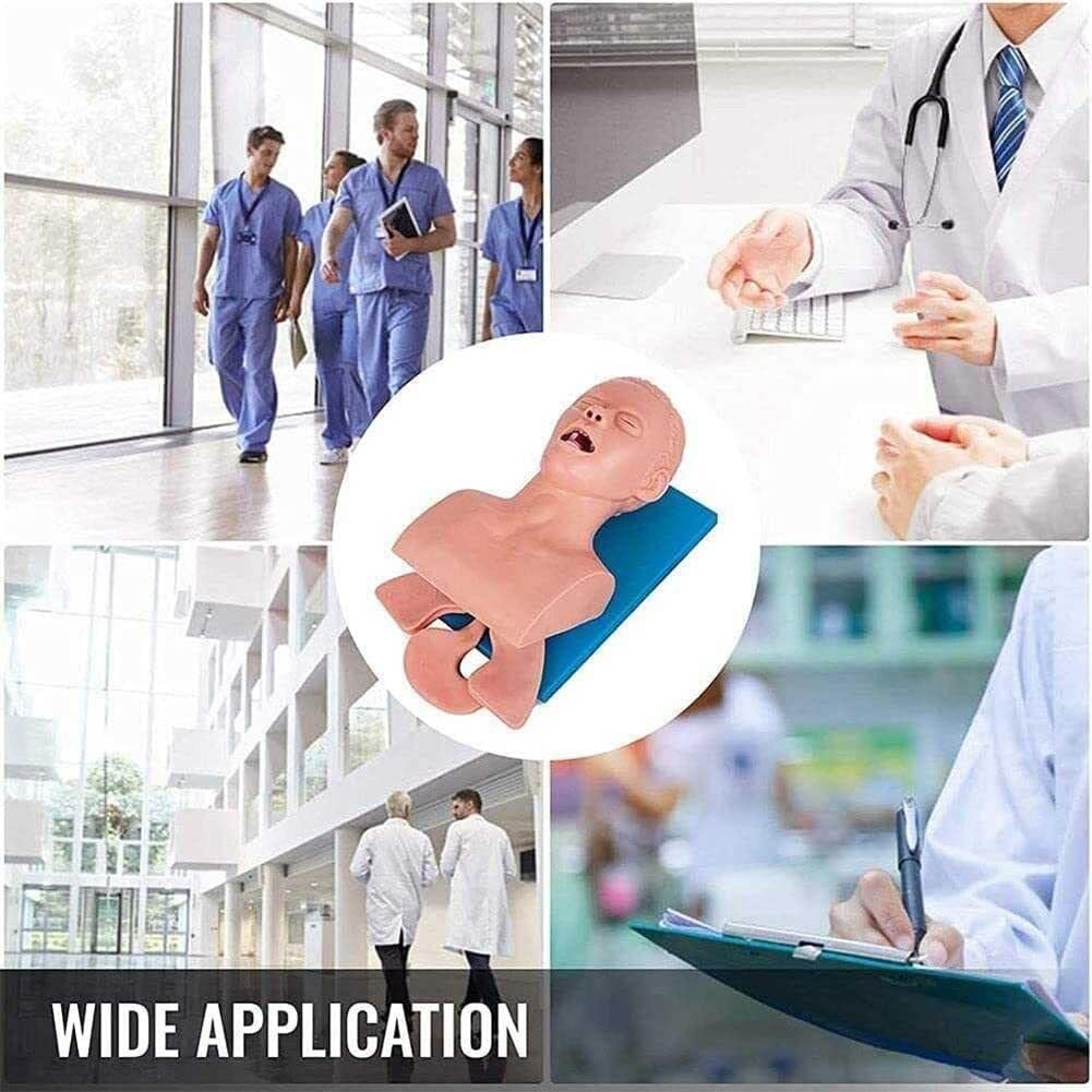Modelo de intubación para adultos, simulador de intubación traqueal, PVC para adultos, modelo de instrucción de maniquí, entrenador de gestión de la vía aérea, intubación traqueal, simulador de