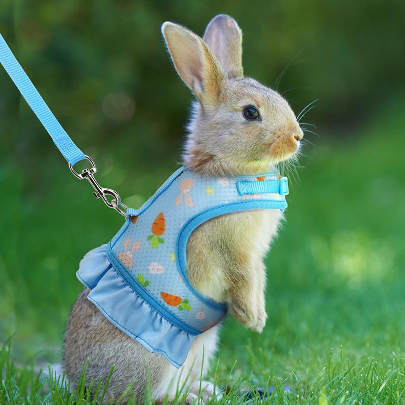 Image of Rabbit Leash and Harness Set,Proof Walking Escape Cute Floral Mesh Vest Breathable Rabbit Clothes for Bunnies, Hiking, Training for Ferret Kitten Puppy Small Pet Harness Blue S