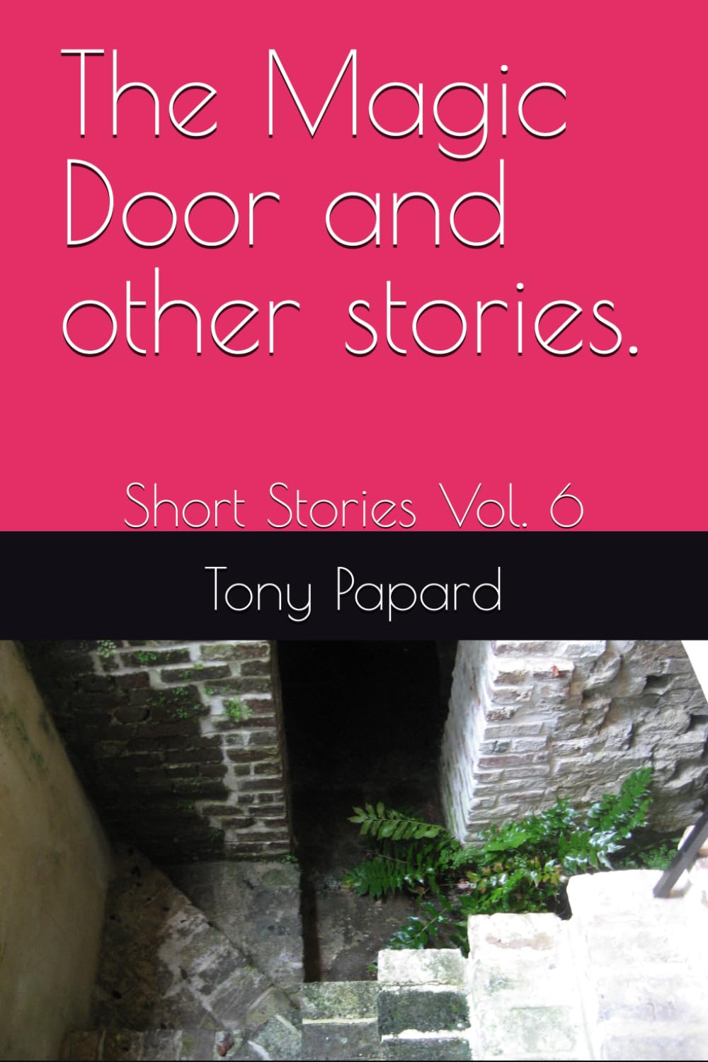 The Magic Door and other stories.: Short Stories Vol. 6