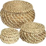 Dicunoy Set of 3 Small Wicker Basket with Lid, Round Woven Seagrass Baskets, Little Handmade Rattan