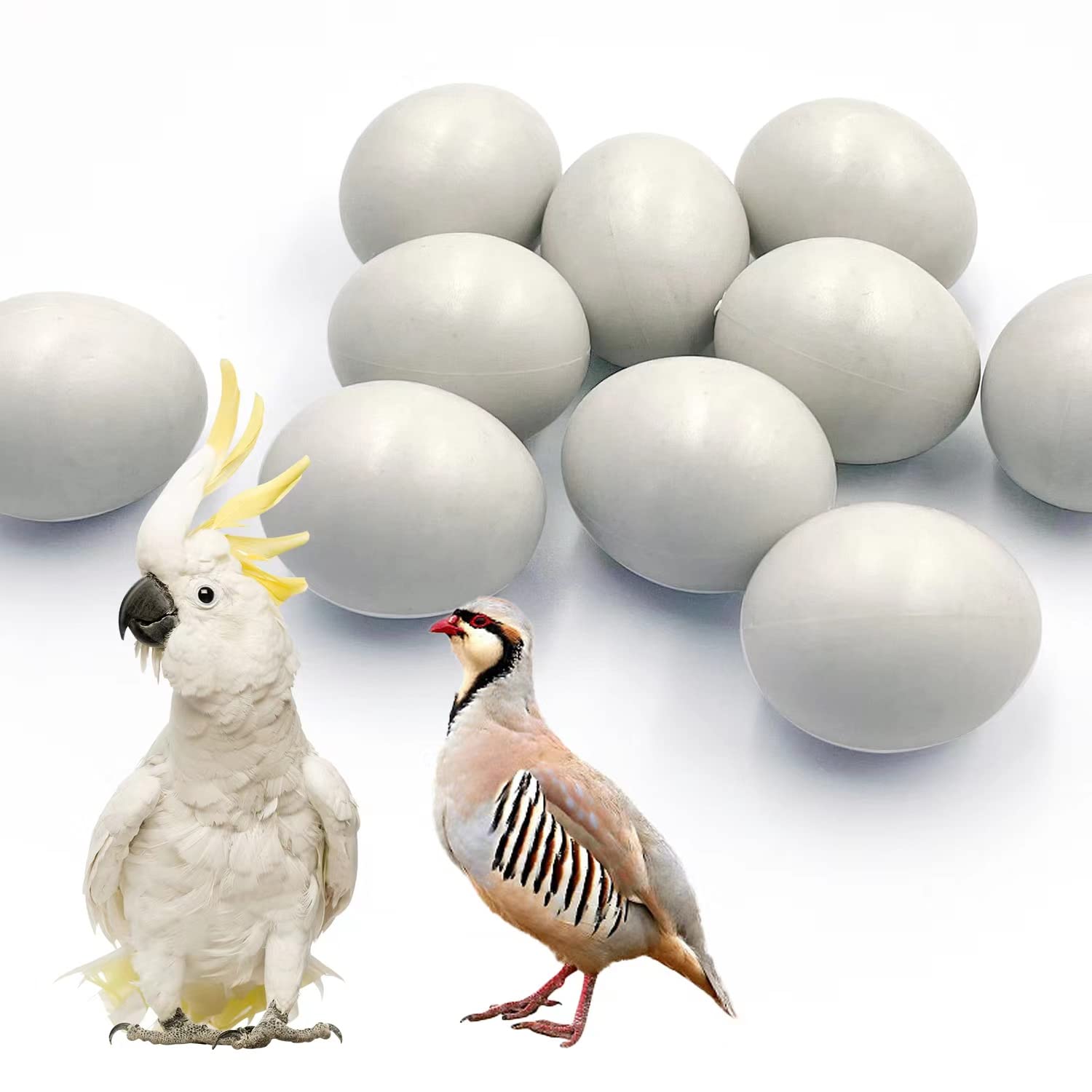 10Pcs Fake Bird Eggs,Stop Egg Laying for Cockatiels, Green Cheeks, Lovebird, Ringneck Dove, Lorikeet