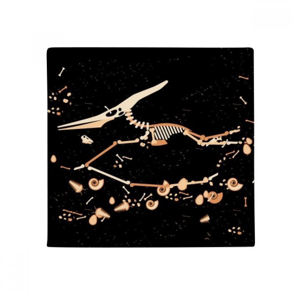 Tapis dinosaure miniature 80 x 80 cm une idée cadeau originale