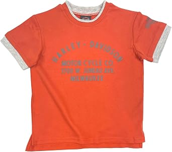 Harley-Davidson Little Boys Double Layered Short Sleeve Tee - Orange/Gray