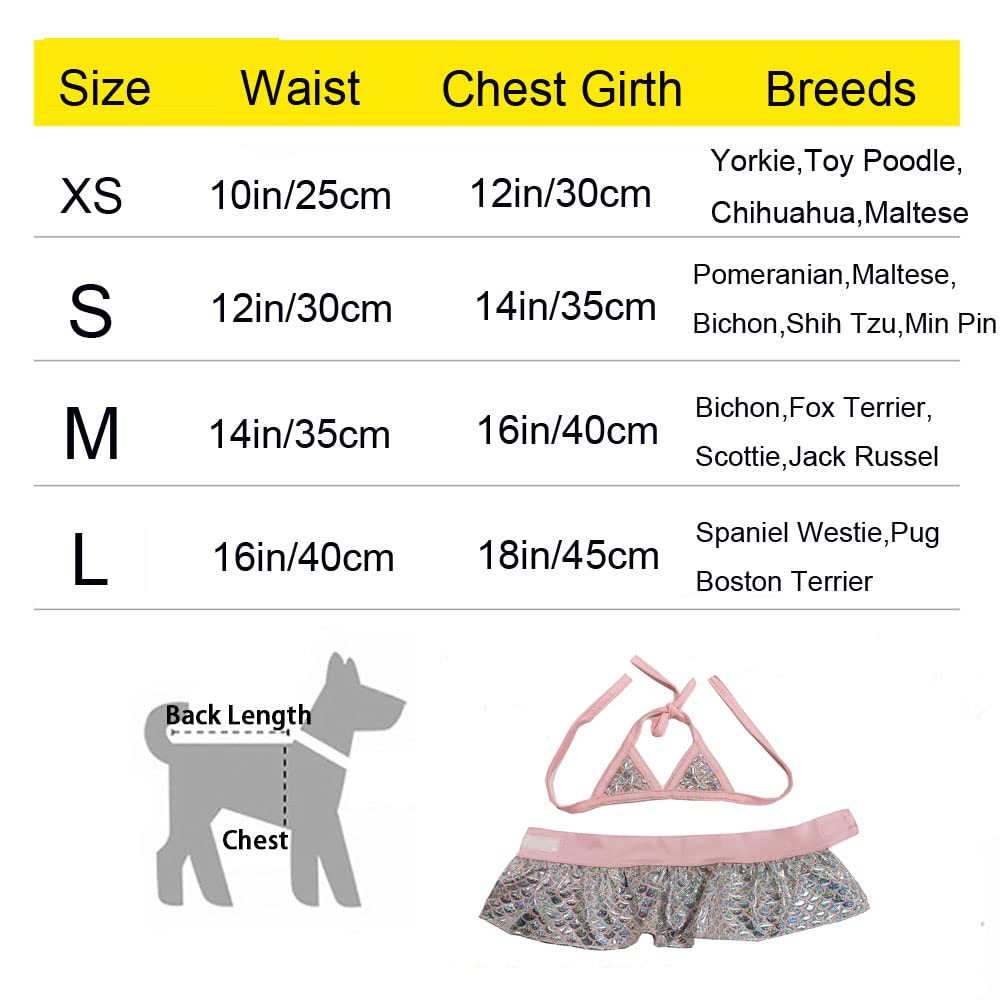 Hunde Badeanzug & Wintermantel - Stylischer Bikini Für Kleine Hunde