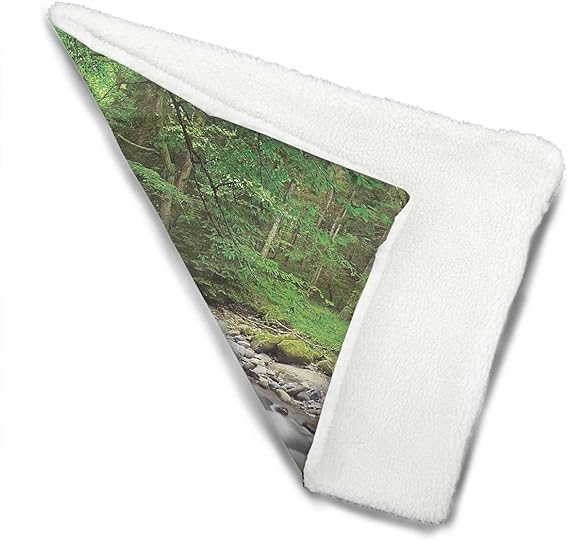 Review Green Gray White Thermal Pet Mat Bed Liner Rushing Riverbed with Rocks Trees Scenery for Pets Beds Pets Blankets and Kennel Forest 25″ x 35″ Review Green Gray White Thermal Pet Mat Bed Liner Rushing Riverbed with Rocks Trees Scenery for Pets Beds Pets Blankets and Kennel Forest 25″ x 35″