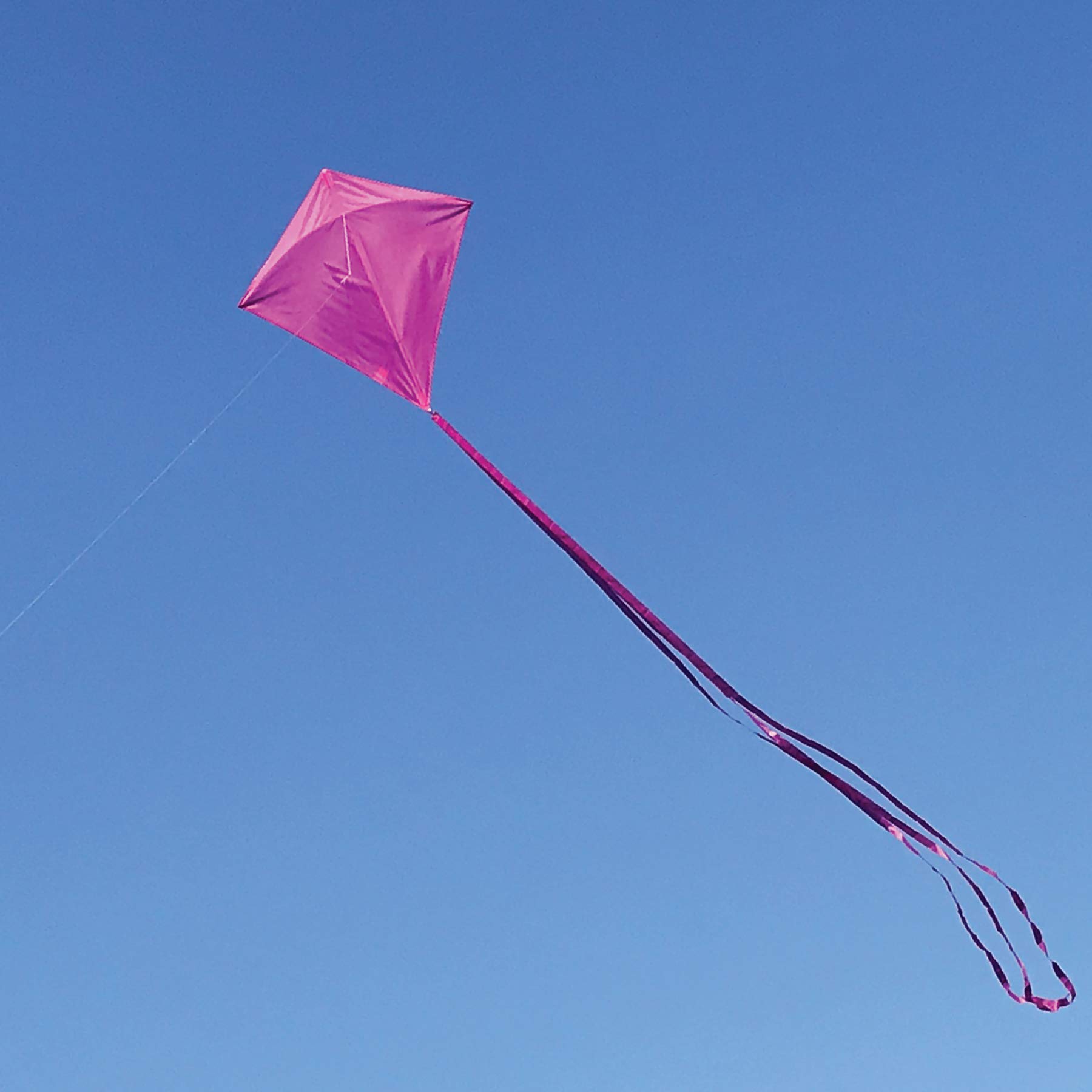 In the Breeze 3295 - Grape 30 Inch Diamond Kite - Solid Purple, Fun, Easy Flying Kite