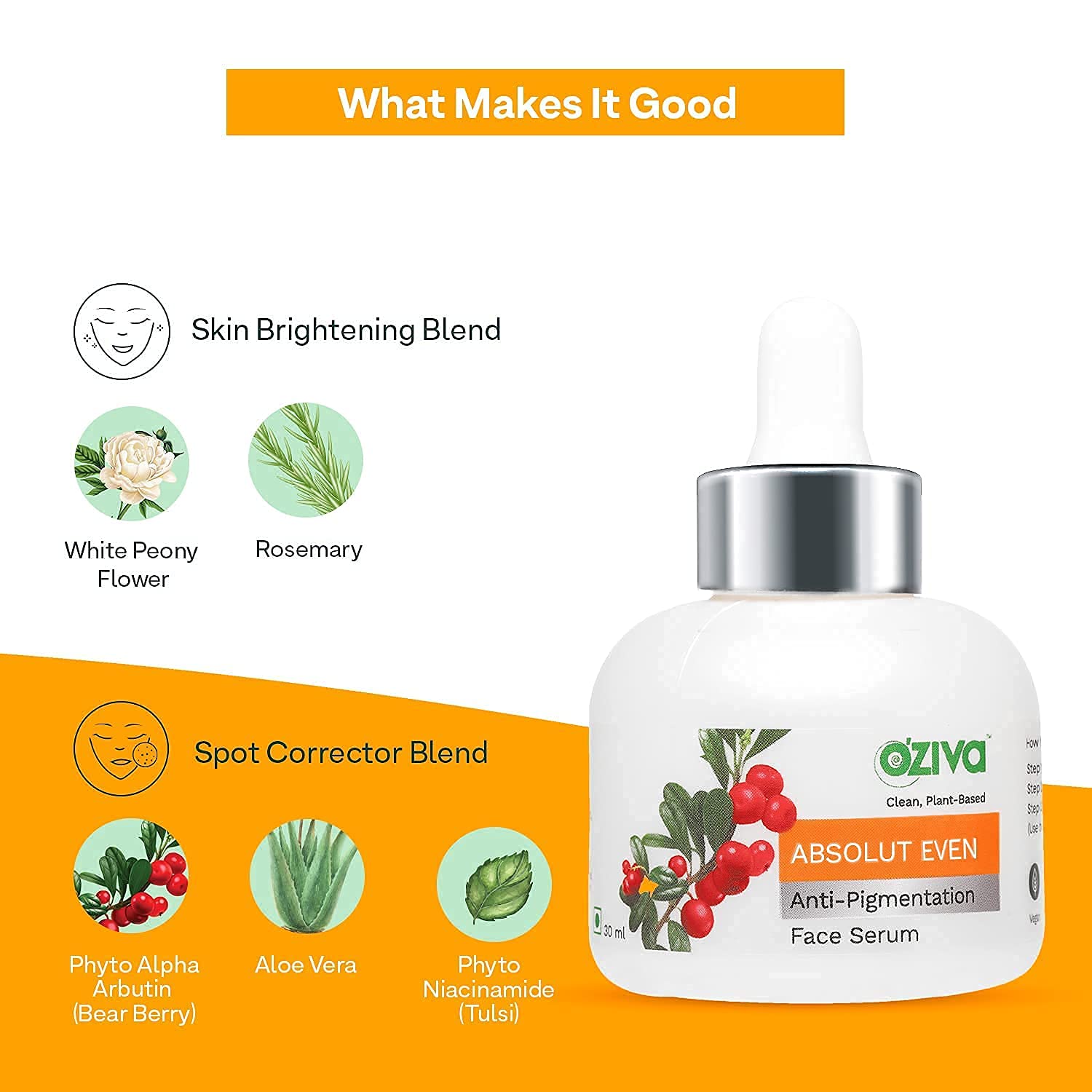 Buy OZiva Absolut Even AntiPigmentation Face Serum (with Phyto