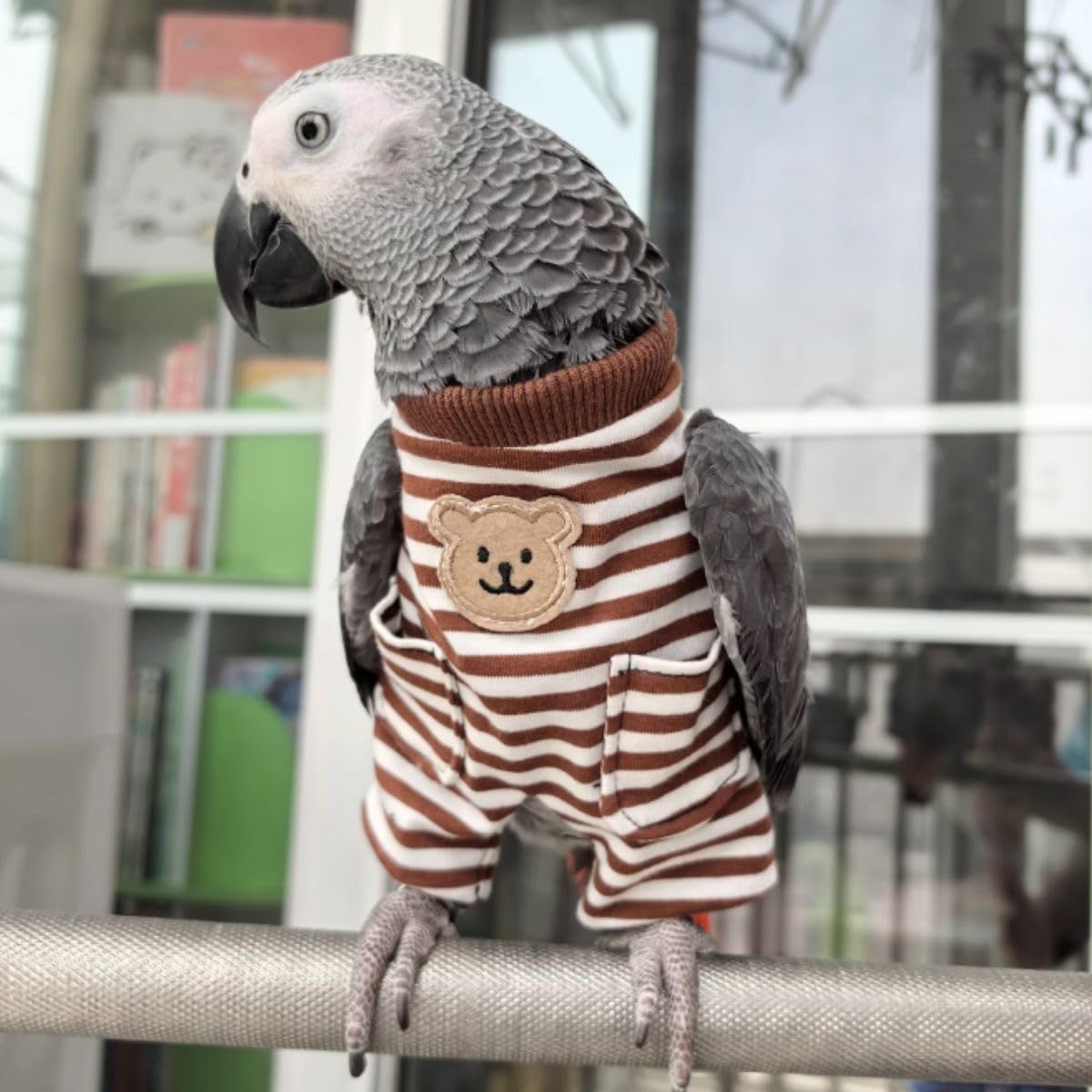 Bird Clothes - Cute Striped Romper for Parrots African Greys Parakeet Cockatiel Conure Christmas Party Birthday Cosplay Photo Gift Parrot Apparel Bird Supplies (Brown,2XL)