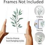 DOODLREAM 9 Pack Unframed Waterproof Eucalyptus Leaves Canvas Wall Art Decors Leaf 20 x 25cm Canvas Wall Posters for Home Office Room Decor