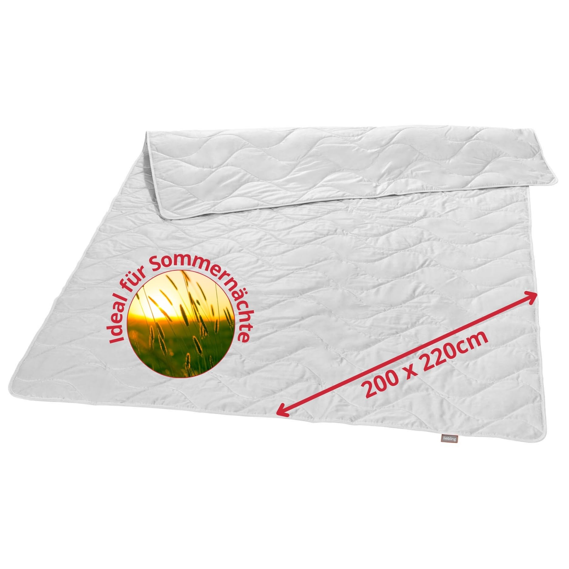 liebling Wildseide Sommerdecke 200x220 cm, Wildseidendecke, Sommerbettdecke | leichte Seidendecke 200 x 220 cm, Sommer Bettdecke, Seidenbettdecke, 100% Baumwolle, Made in EU, waschbar