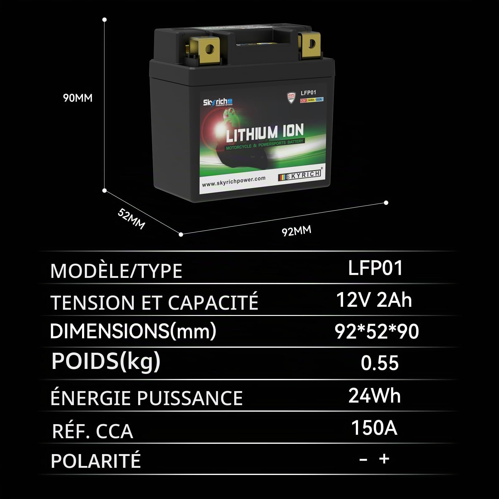 Batterie Skyrich Lithium LFP01