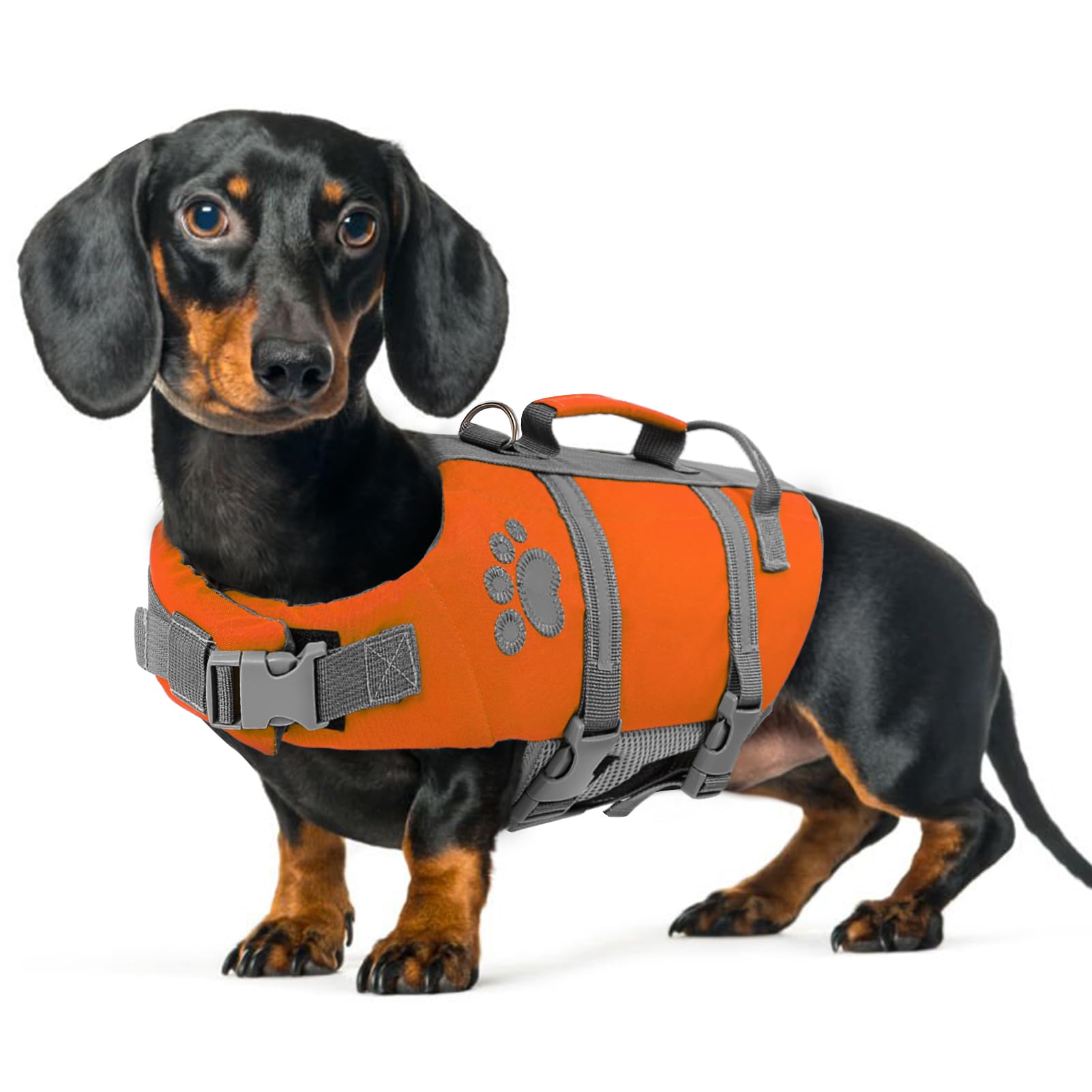 Queenmore Schwimmweste Hund XS, Reflektierende Hunde Schwimmweste, Verstellbar Hundeschwimmweste, Rettungsweste Für Hunde Mit Griff, Schwimmweste Chihuahua, Life Jacket Schwimmweste Kajak