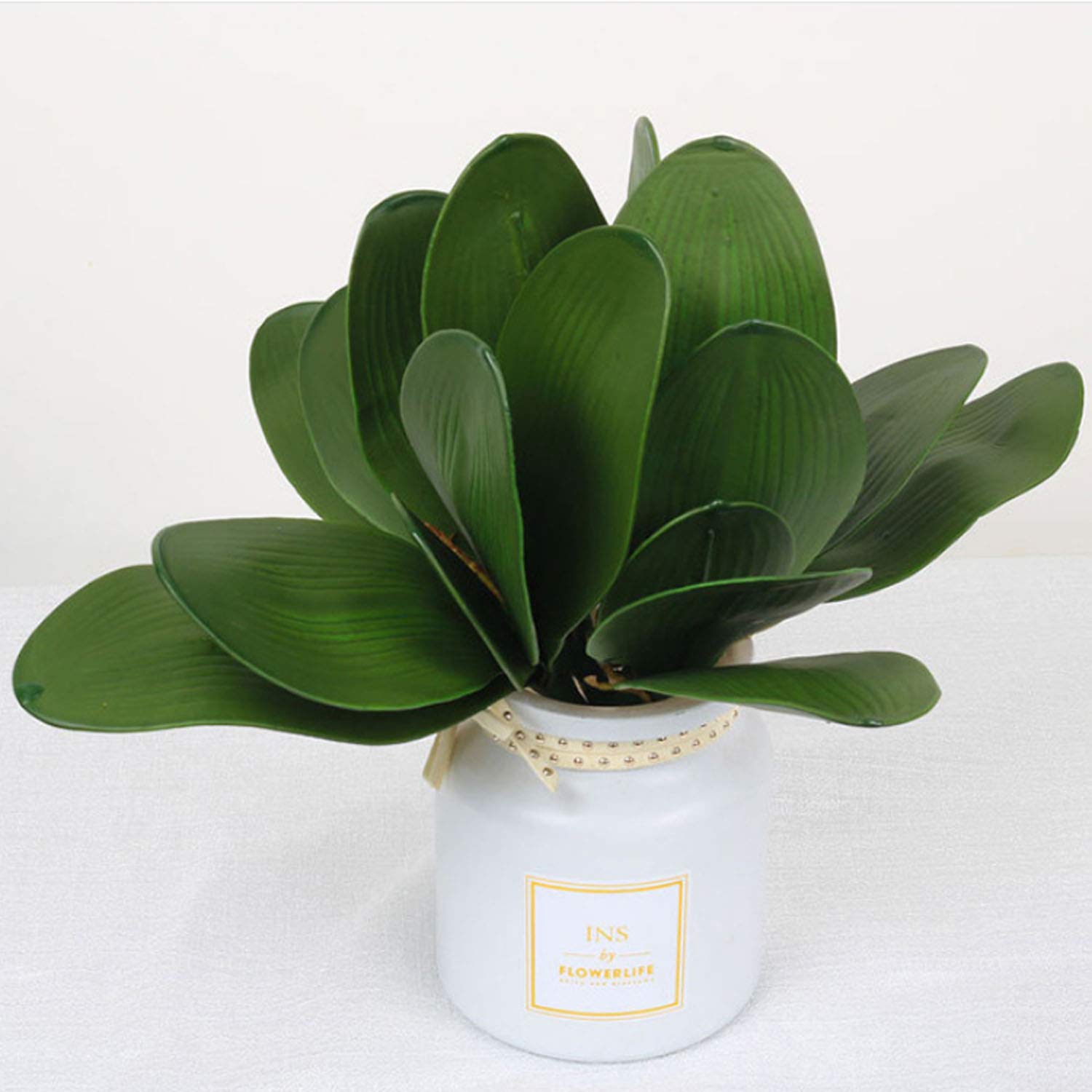 Amazon.de: FagusHome 10 Stck knstliche Phalaenopsis Orchideenbltter 11  Zoll grnes knstliches Orchideenblatt (10Pcs)