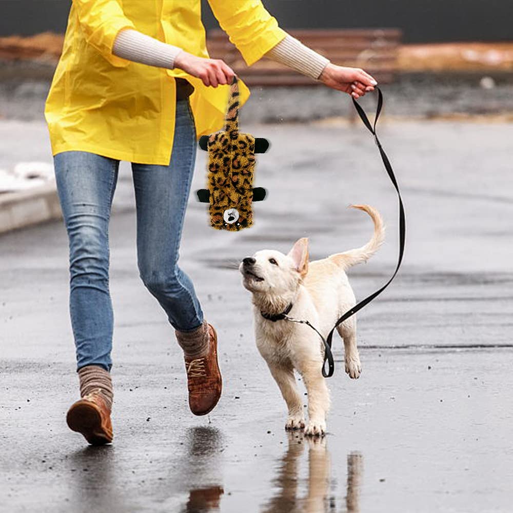 AWOOF Hundespielzeug ohne Füllung, quietschendes Kauspielzeug für Hunde, für kleine, mittelgroße und große Hunderassen, aggressive Kauer, langlebig, interaktives Spielen für Hunde, 5 Stück