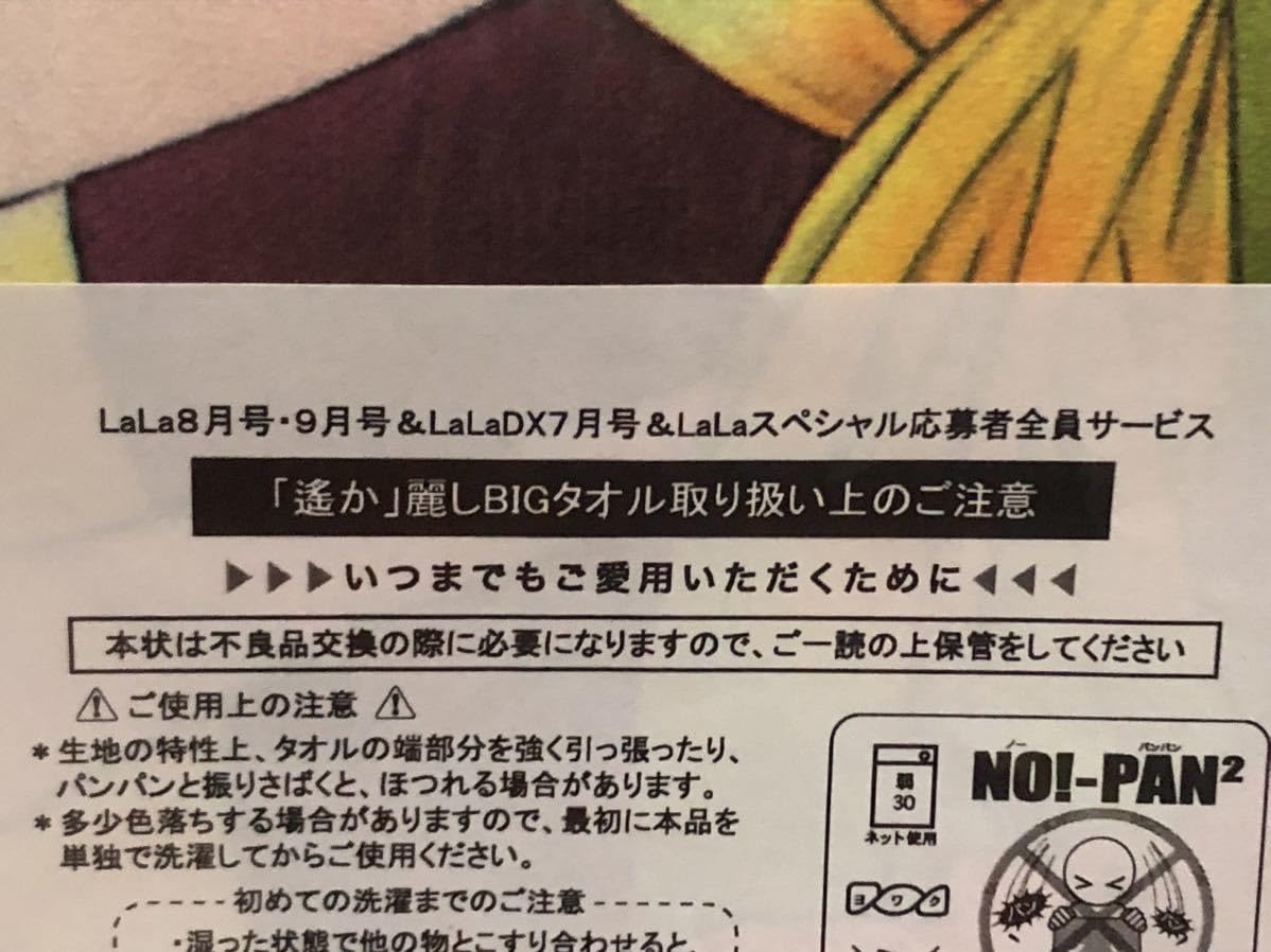 Amazon.co.jp: 水野十子 /遙かなる時空の中で3 「遙か」麗しBIGタオル