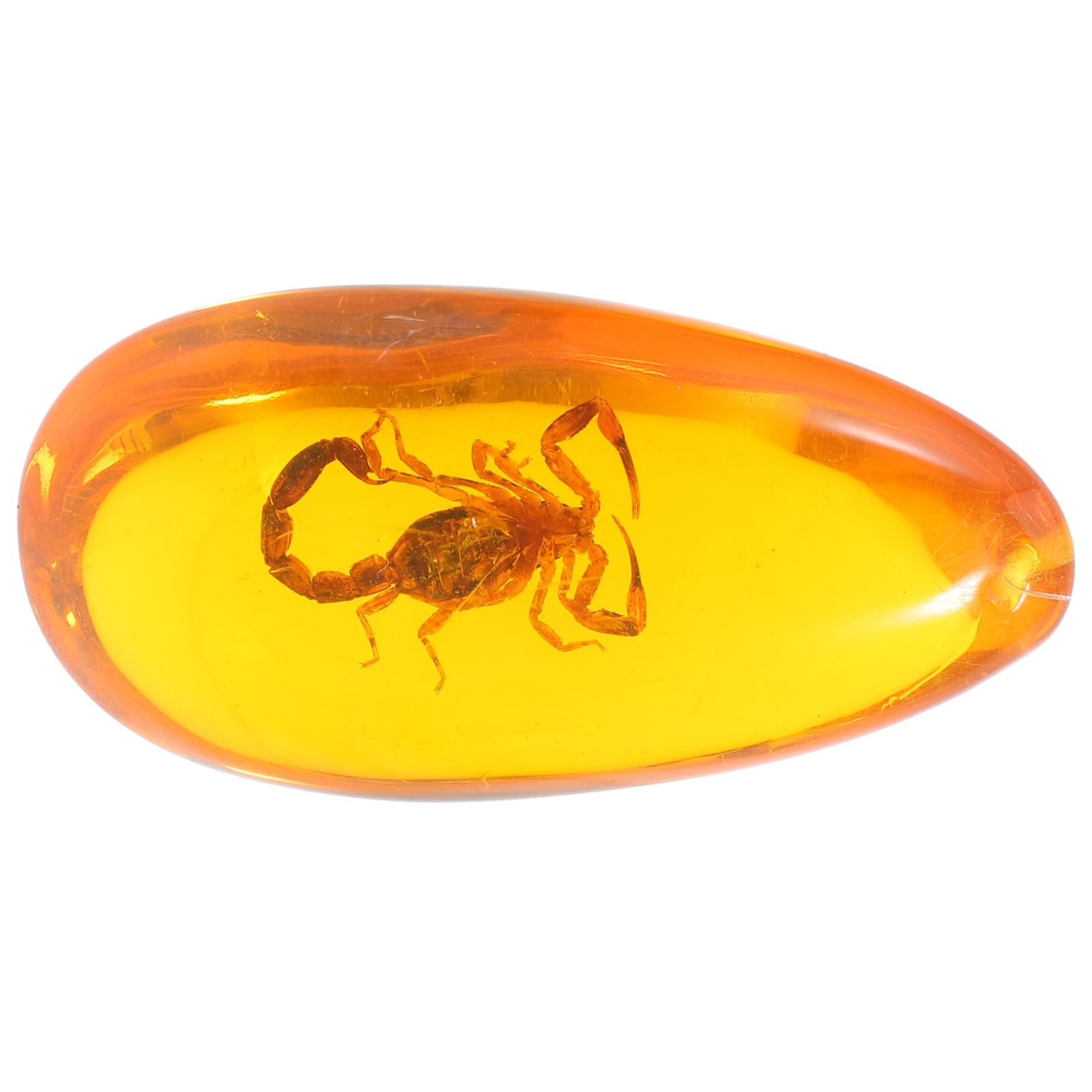 PartyKindom Amber Insect Collection Insect Amber Specimen Amber Insect Specimen Amber Stone Insect Stone Decor Home Decor Insect Ornament Stone Insect Specimen Insect Sample Resin