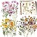 120pcs Lot de Stickers Fleurs Plantes Style Autocollants Tulipes Roses Marguerites Note Flower Sticker Auto-adhésif Décoration DIY Cadeau pour Scrapbooking Album Journal Livres Ordinateur Portable