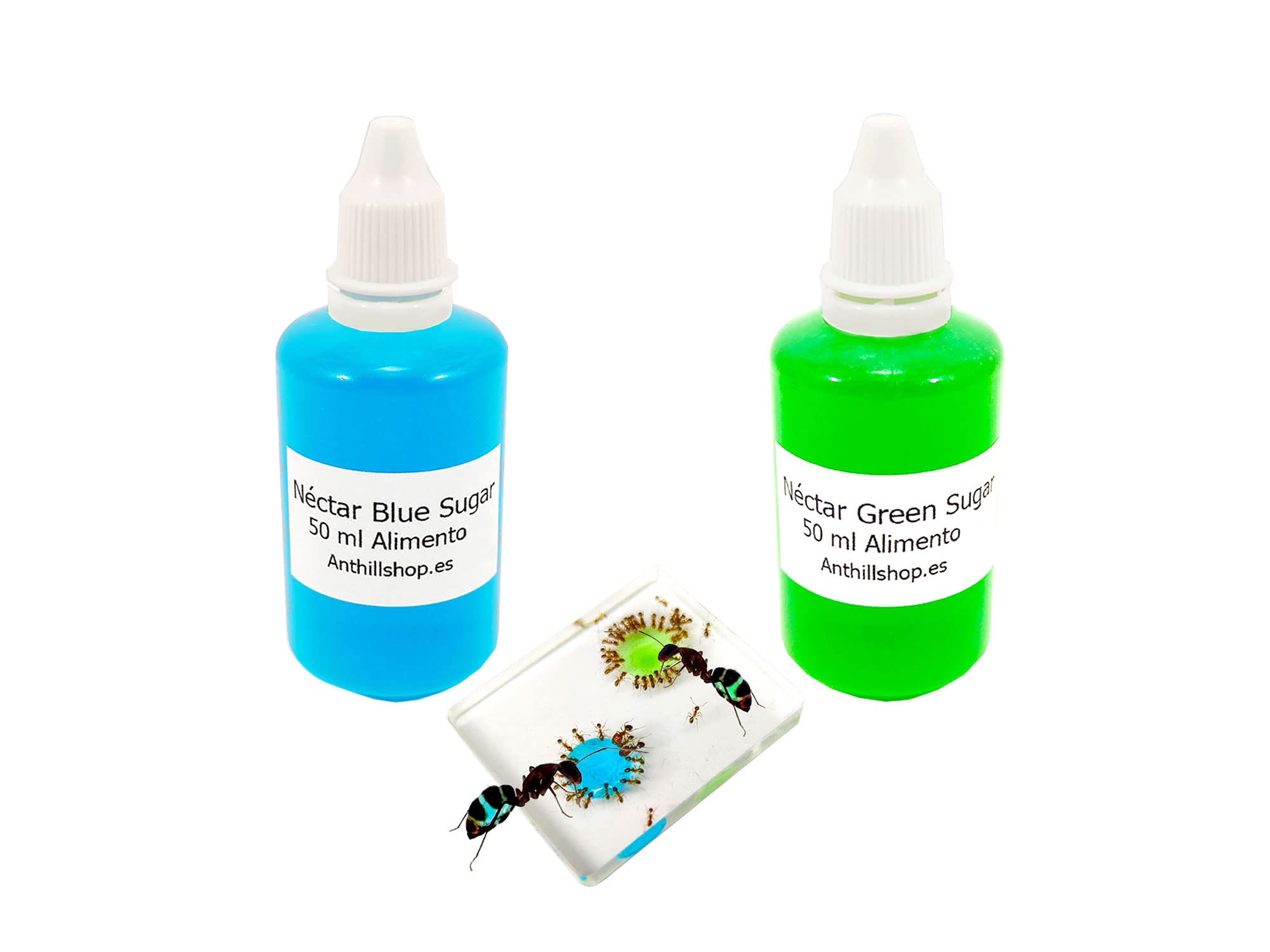Aliments pour fourmis - Excellent et irrésistible - Aliment pour vos fourmis et fourmis - Nouveau Nectar de sucre bleu Plus Nectar de sucre vert - Lot de 2 bouteilles de 50 ml