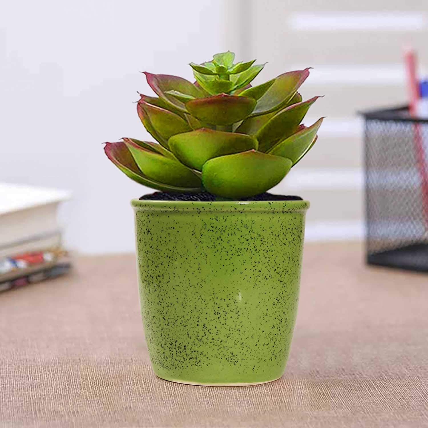 GARDENICA Green Round Shape Ceramic Pot for Indoor Plants, Artificial Plant Planters Flower Pots, Table Top, Outdoor, Succulent, Cactus Plant Pot Container (B09DBTVGJH) Amazon Price History, Amazon Price Tracker