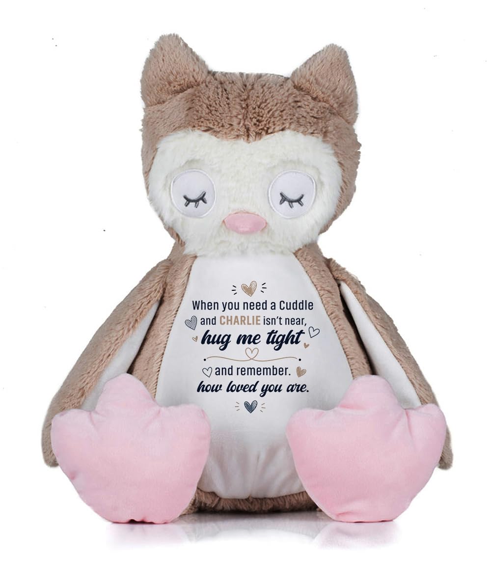 Getagift Personalised When You Need a Cuddle Hug Gift, Custom Name Keepsake Gift for Loved Ones, Long-Distance Relationship Birthday Plush Toy | Soft Toys Teddy., Owl — image 1