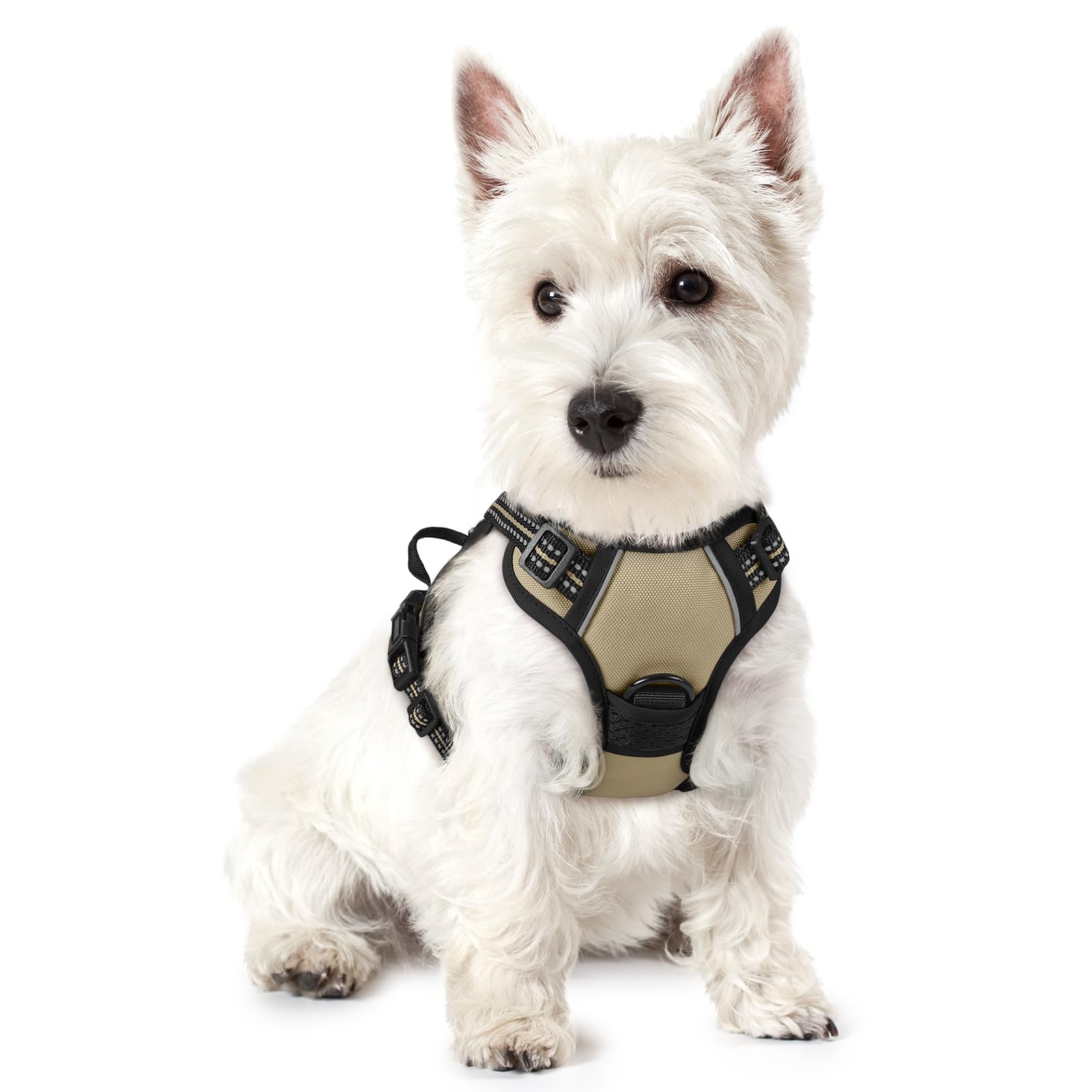 rabbitgoo Pettorina Cane Taglia Piccola, Pettorina Cane ad h Regolabile con 2 Ganci in Metallo, Imbracatura per Cani Anti Tiro Riflettente, Imbracatura Traspirante per Addestramento, Cachi, XS